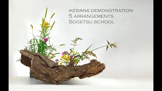 Ikebana Demonstration for Ikebana International, Delhi chapter by Ekaterina Seehaus, Sogetsu school