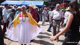 Bailando el Huapango Huasteco "El Paseador" desde Xilitla SLP