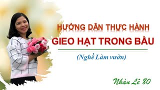 THỰC HÀNH GIEO HẠT TRONG BẦU