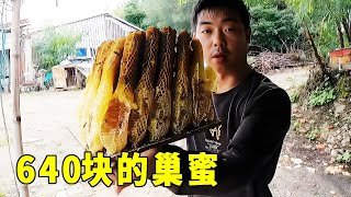 After luring bees for two months  eight boxes of nest honey were cut out and sold for 640 yuan. Is