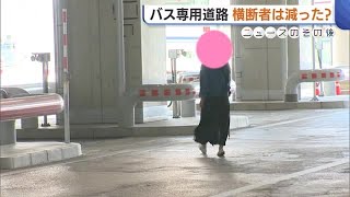 横断禁止のバス専用道路で相次ぐ“横断者”…市は対策も「全く効果ない」 新潟駅バスターミナル開業2カ月 (24/06/04 18:42)