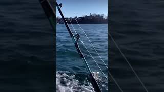 Playing the Waiting Game Gloucester Massachusetts