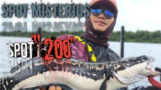 SPOT INI DI JULUKI SPOT 200. KENAPA ? ❗❗❗ | berburu Toman air asin. #fishing #mancingtoman #mancing