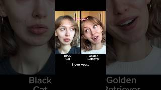 #pov The Black Cat + Golden Retriever Duo: “I love you”…