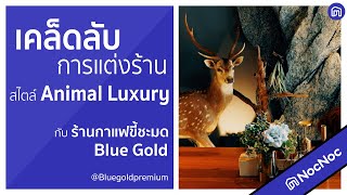 สไตล์ Animal Luxury การแต่งร้านสไตล์ใหม่ จากร้านกาแฟขี้ชะมด Blue Gold | NocNoc Inspire