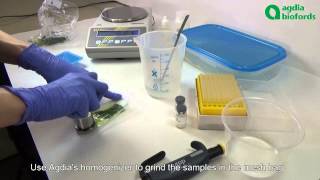 Plant Pathogen ELISA detection: How to prepare your samples?