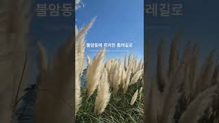 부산 근교 경남 김해 불암동 팜파스 명소