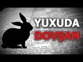 yuxuda dovsan gormek nece yozulur. doşan görmək yuxuyozma yuxuda dovşan