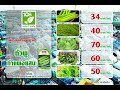 ราคาผักประจำวันที่ 5 ตุลาคม 2565