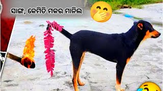 ବାପରେ କି ଯୁଗାଡ //odia funny video