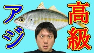 【魚図鑑 シマアジ】磯？堤防？ ポイントはルアー！しまあじの釣り方・仕掛け・食べ方がわかる！