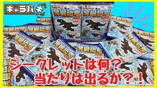 【食玩】キャラパキ 発掘恐竜チョコ アイスエイジ ver. を 大量開封！！ シークレットは何？ 当たりは出る？！ 全6種