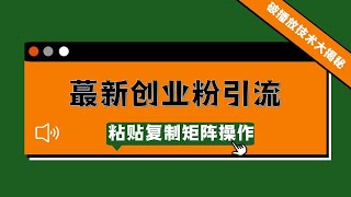 视频号最新创业粉引流，粘贴复制矩阵操作，破播放技术大揭秘，无需经验，当天即可上手