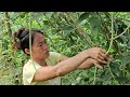 tam harvests watermelons and works as a hired laborer. ms. vien takes care of pets.....