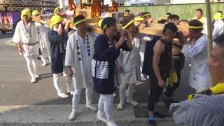 平成30年　小田原市早川＜紀伊神社＞例大祭【木遣り・走る】紀上會神輿＆山車