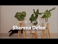 Rumahnya Sharena Delon - Plant Styling by Shop with Sky