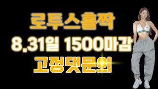 로투스홀짝 8.31 11승하는방법 #로투스홀짝