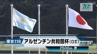 東京11R 第62回アルゼンチン共和国杯（GⅡ）