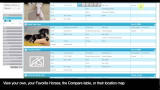Horsecount - Salesboard
