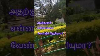 உங்களை நீங்கள் நேசிக்கிறீர்களா?💝#mind change motivation in tamil#viral.🔥