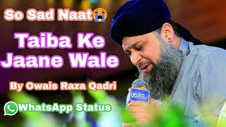New Naat Taiba Ke Jane Wale || By Owais Raza Qadri ||WhatsApp Status