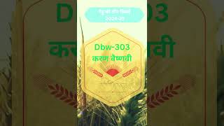 गेहूं की टॉप 3 वैरायटियI | Wheat Top Variety | Gehu Ki Top Variety 2024