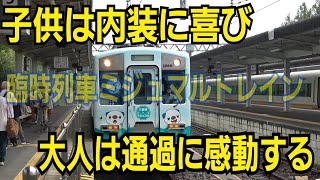 【近鉄志摩線】特急停車駅ですら通過してしまうミジュマルトレインに乗って歓喜