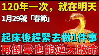 120年一次，就在明天！1月29號「春節」，起床後趕緊去做1件事，再倒霉也能逆天改命！【禪意】#生肖 #運勢 #風水 #財運#命理#佛教 #人生感悟