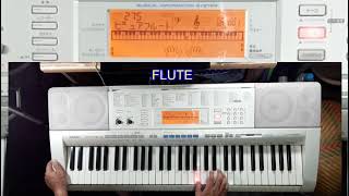 CASIO LK 205 (JAPAN)-Sounds and Styles (รีวิว Casio LK-205)