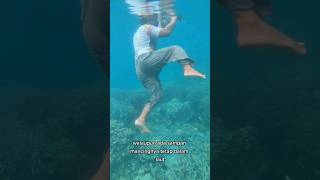 Snorkeling Sambil Mancing #bolang #laut #petualangan #snorkeling #nemo #fishing #ikannemo #shellbox