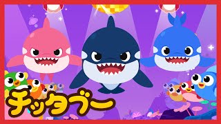 シャチのうた(Killer Whale Song) | うみのいきもののうた | どうぶつのうた | キッズソング | 子どもの歌 | #チッタブー