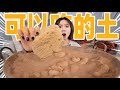 200℃高温！炒土吃？！| Edible Soil