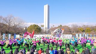 [4K] 京炎そでふれ！おどりっつ　堺よさこいかえる祭り 2025　大仙公園会場