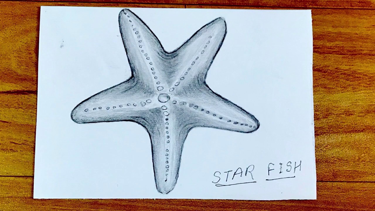 How To Draw Starfish