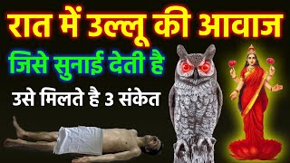 रात में उल्लू की आवाज जिसे सुनाई देती है उसे मिलते है 3 संकेत | Vastu tips Pashu pakshi