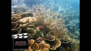 【巴拉望科隆島Palawan Coron Travel]】七子礁岩 seven sub-reefs@香香公主趴趴GO