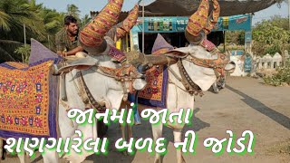 શણગારેલા વાગડીયા ની મોજ