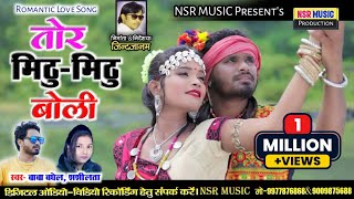 Baba Baghel, Shashilata | Cg Romantic Song | Tor Mithu Mithu Boli | Nsr Music Production