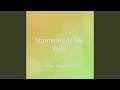 Storms Inside My Veins