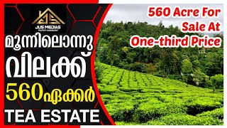 വൻ വിലക്കുറവിൽ തേയ്‌ല തോട്ടം Tea Estate For Sale At Lowest Price| Best Investment