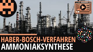 Haber-Bosch-Verfahren│Chemie Lernvideo [Learning Level Up]