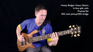 Comparison: Honey Badger Heavy Hitters \u0026 Delano SBC 6 HE/S bass guitar pickups