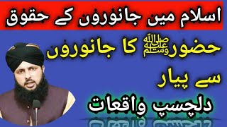 Animal rights | janwar ke huqooq | Janwaron ke Huqooq | Rahy nijat Tv | Sayed abdul basit bukhari