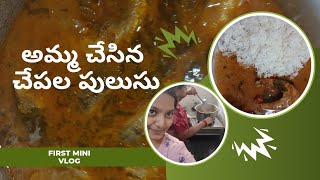 అమ్మ చేసిన చేపల పులుసు l Mini vlog | Chepala pulusu special | @LakshmiBhavani19