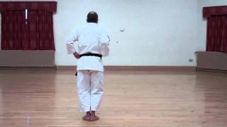 Wado Karate Pinan Sandan performed by Neil Pottinger