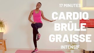 🔥 17 Minutes pour Brûlez la Graisse RAPIDEMENT à la Maison Sans Équipement