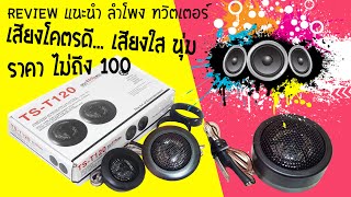 รีวิว ลำโพงทวิตเตอร์ เสียงแหลม รุ่น TS-T120 ที่ราคาประหยัด แต่เสียงโคตรดี #ลำโพง #เสียงแหลม