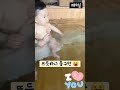 율아일기 따뜻한 히노키탕에서 물장구 ❤ 거제여행 289일 9개월아기 baby 육아 shorts