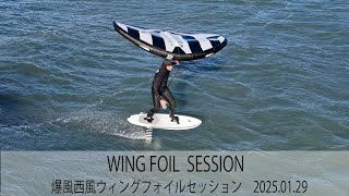 爆風西風 WING FOIL セッション 千葉内房