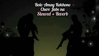 Bolo Amay Kokhono Chere Jabe Na | Slowed + Reverb | Mahtim Shakib